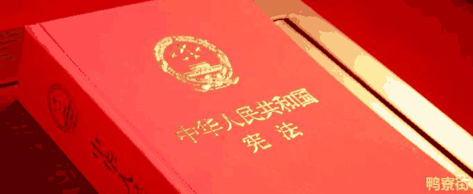 什么必须以宪法为根本的活动准则？